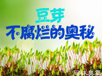 臭氧發(fā)生器在豆芽生產(chǎn)中的應(yīng)用