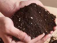 臭氧在農(nóng)業(yè)種植（土壤基質(zhì)、營養(yǎng)液、種子、棚內(nèi)秧苗）中的應(yīng)用