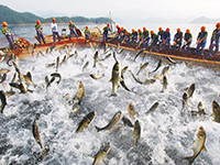 臭氧在水產(chǎn)養(yǎng)殖中的應(yīng)用