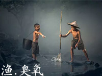 臭氧在水產(chǎn)養(yǎng)殖上的應(yīng)用