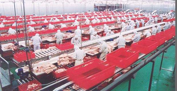 臭氧對肉制品車間消毒是如何進行的？