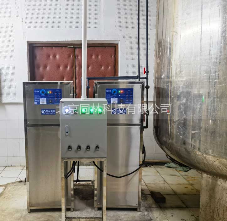 如何根據(jù)標(biāo)準(zhǔn)泳池大小計(jì)算臭氧發(fā)生器的規(guī)格和投加量